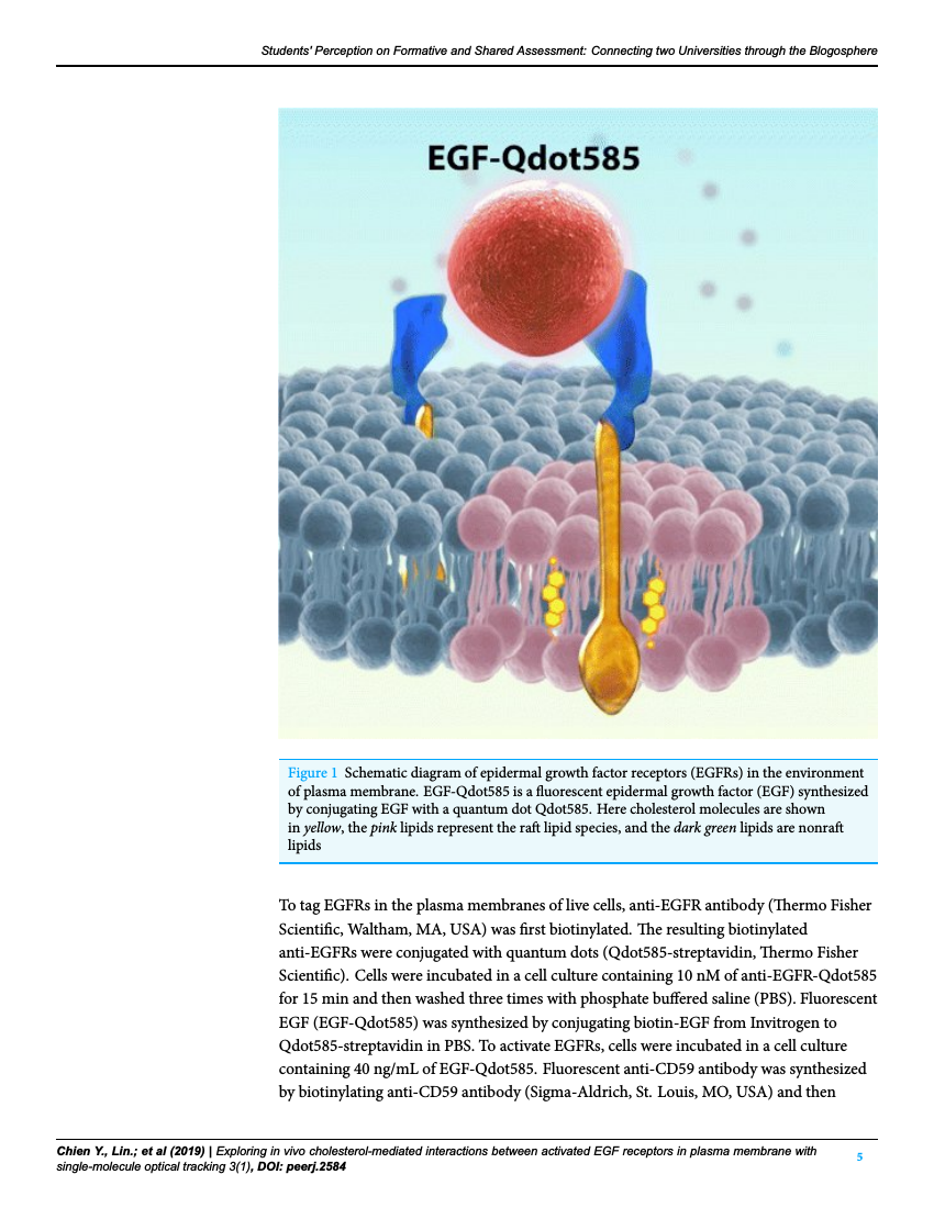 Example of Journal of New Approaches in Educational Research (Spanish) format