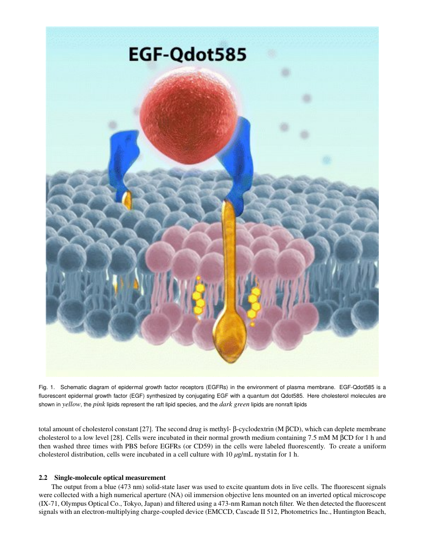 Example of ASME Member-Only Article Pack Online format