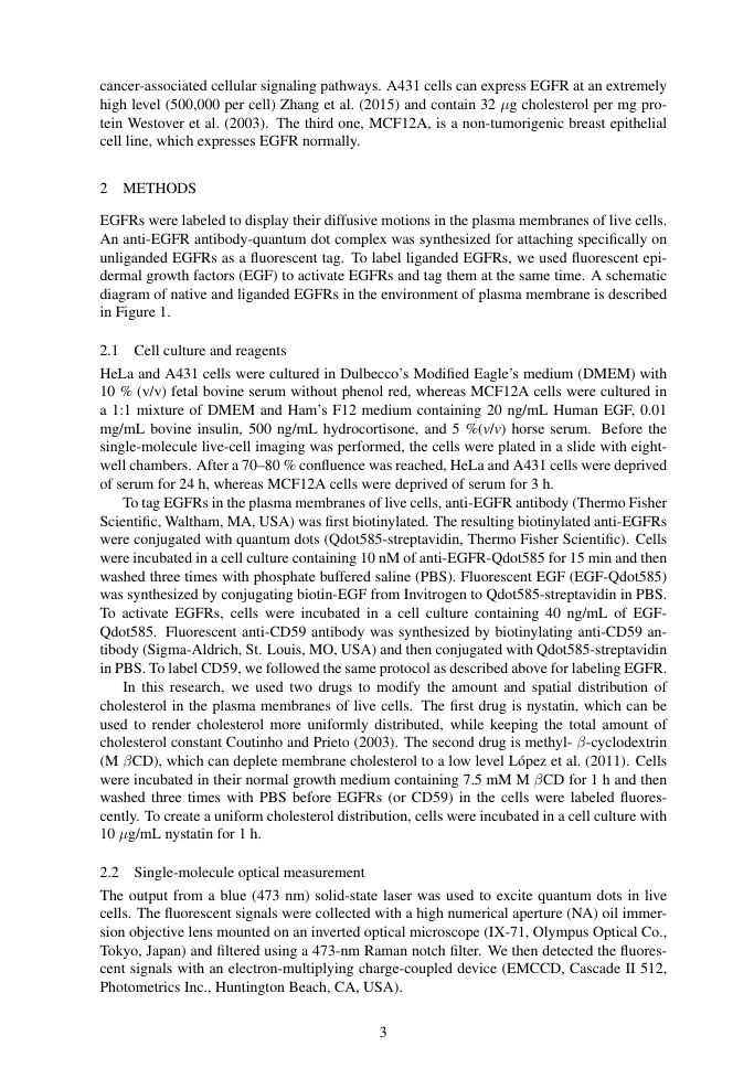 Example of 4th International Conference on Information and Communication Technology for Competitive Strategies format