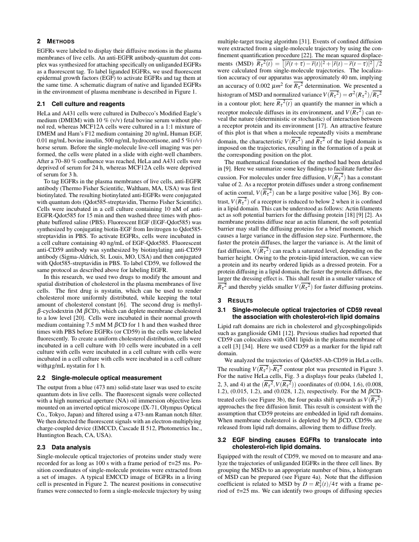 Example of 2018 IEEE International Symposium on Mixed and Augmented Reality (ISMAR) format