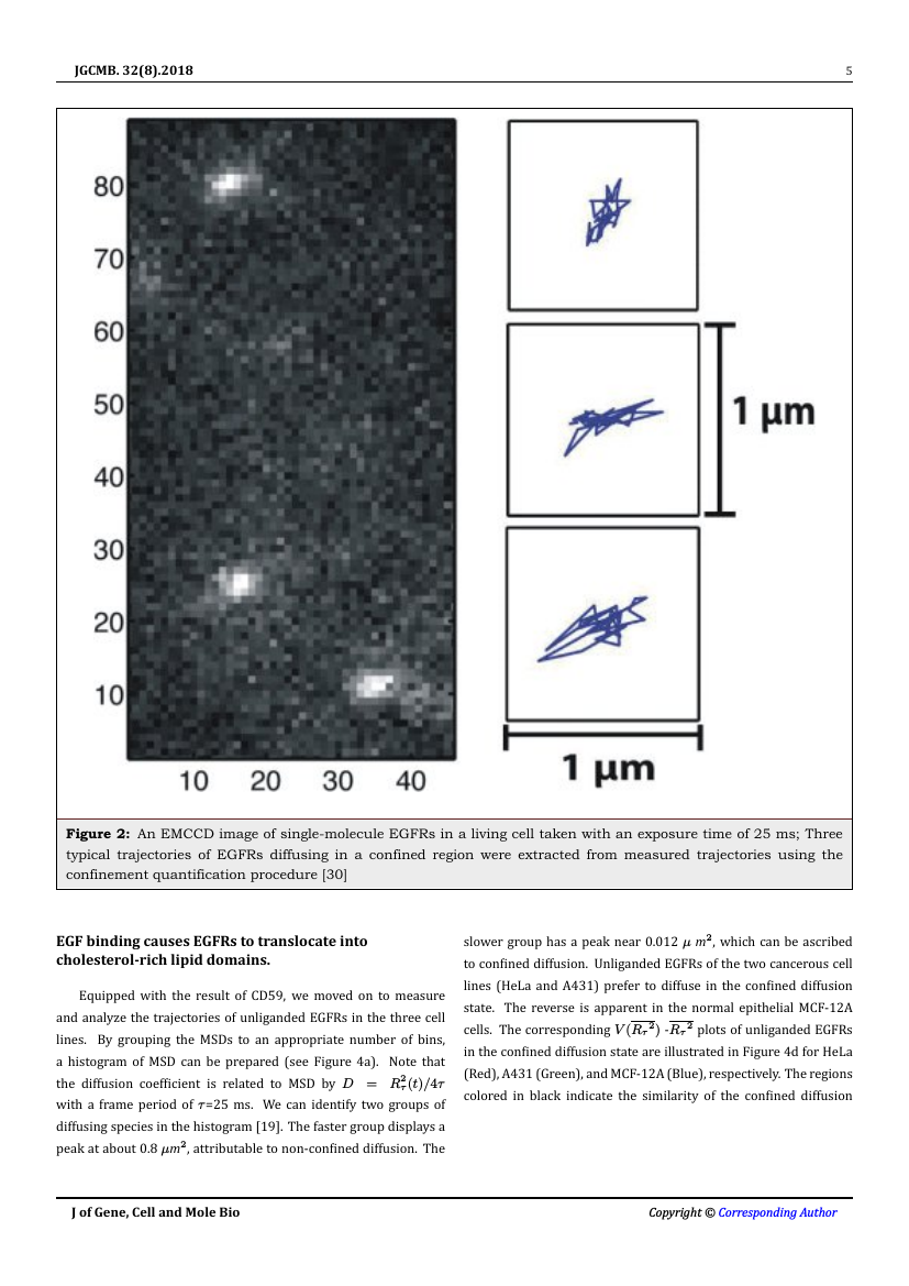 Journal of Genetics, Cellular and Molecular Biology Template - Scitech ...