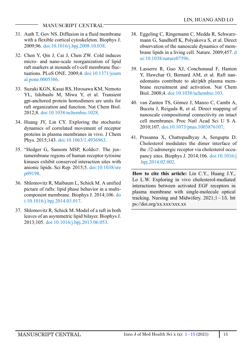 Example of Nursing and Midwifery format