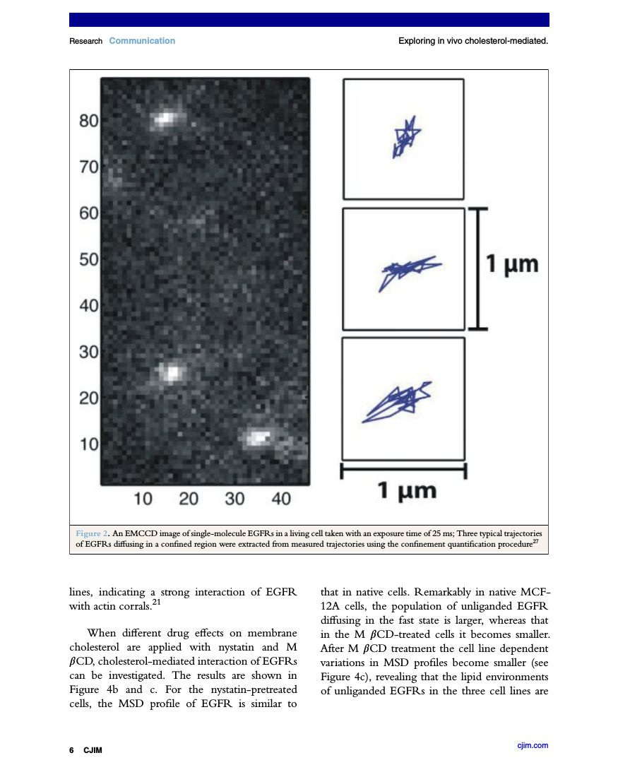 Example of Carolina Journal of Interdisciplinary Medicine (CJIM) format