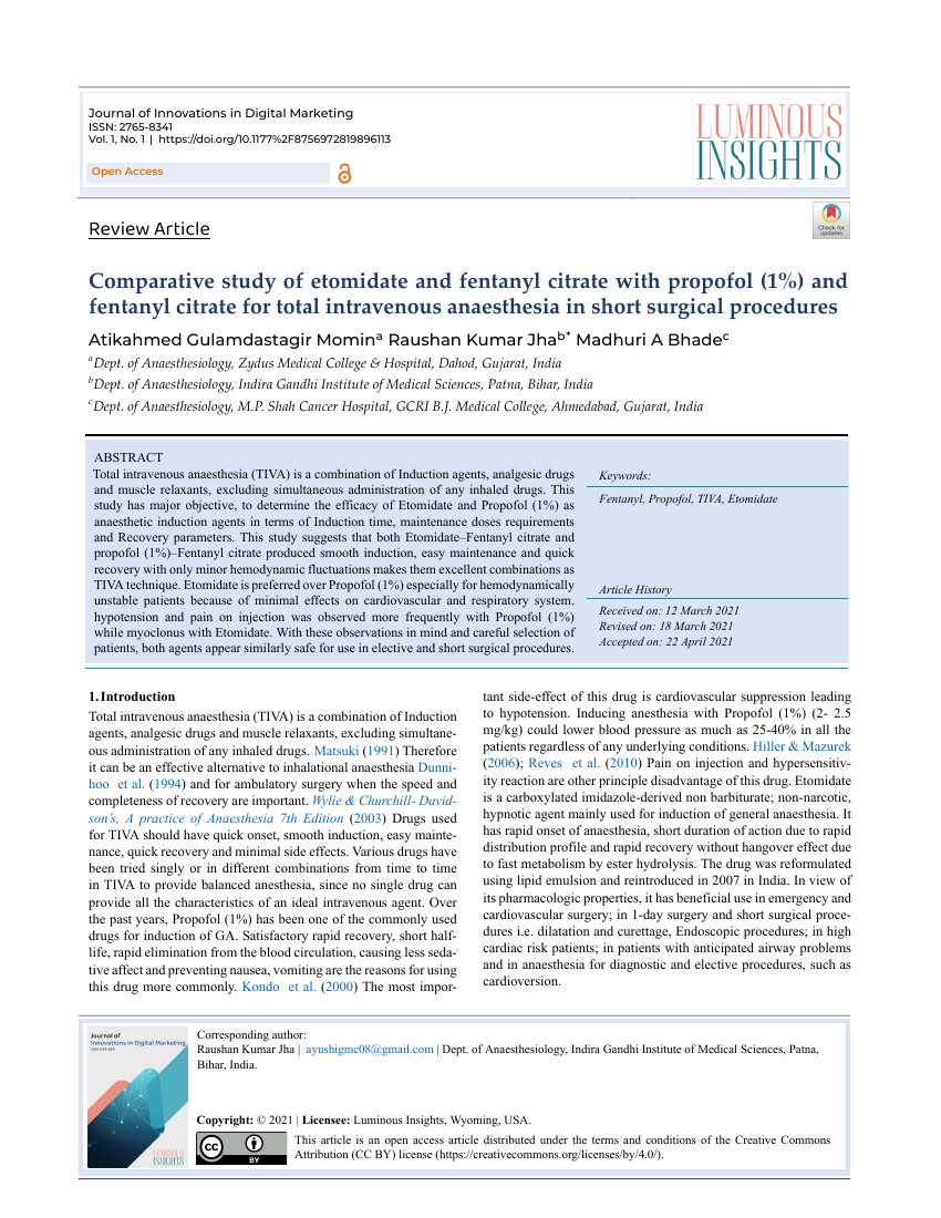 Journal of Innovations in Digital Marketing Template Luminous Insights