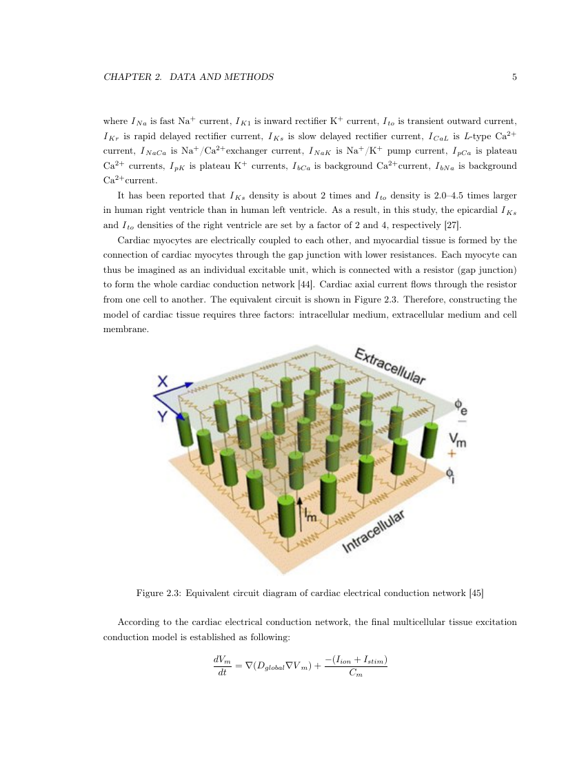 Example of University of Nottingham Thesis format