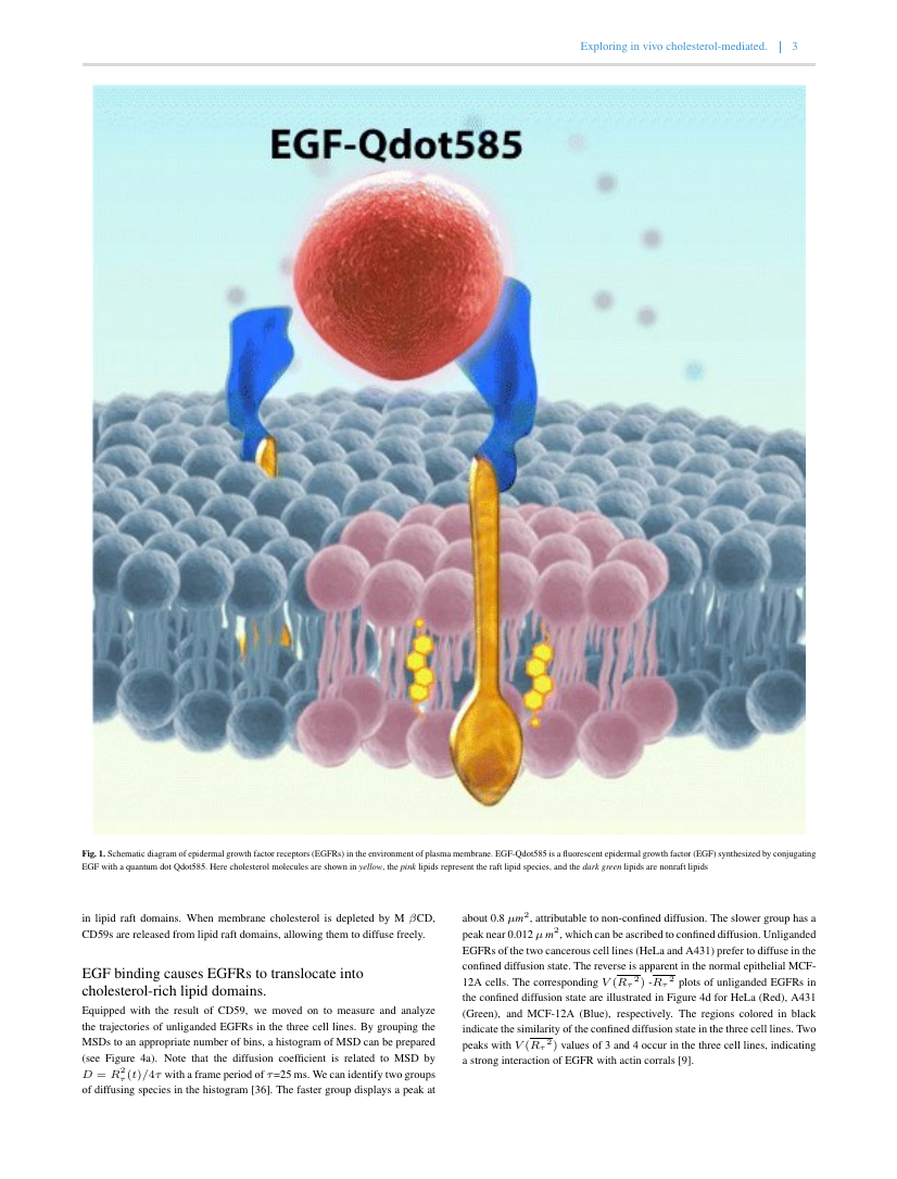JCEM Case Reports Template Oxford University Press