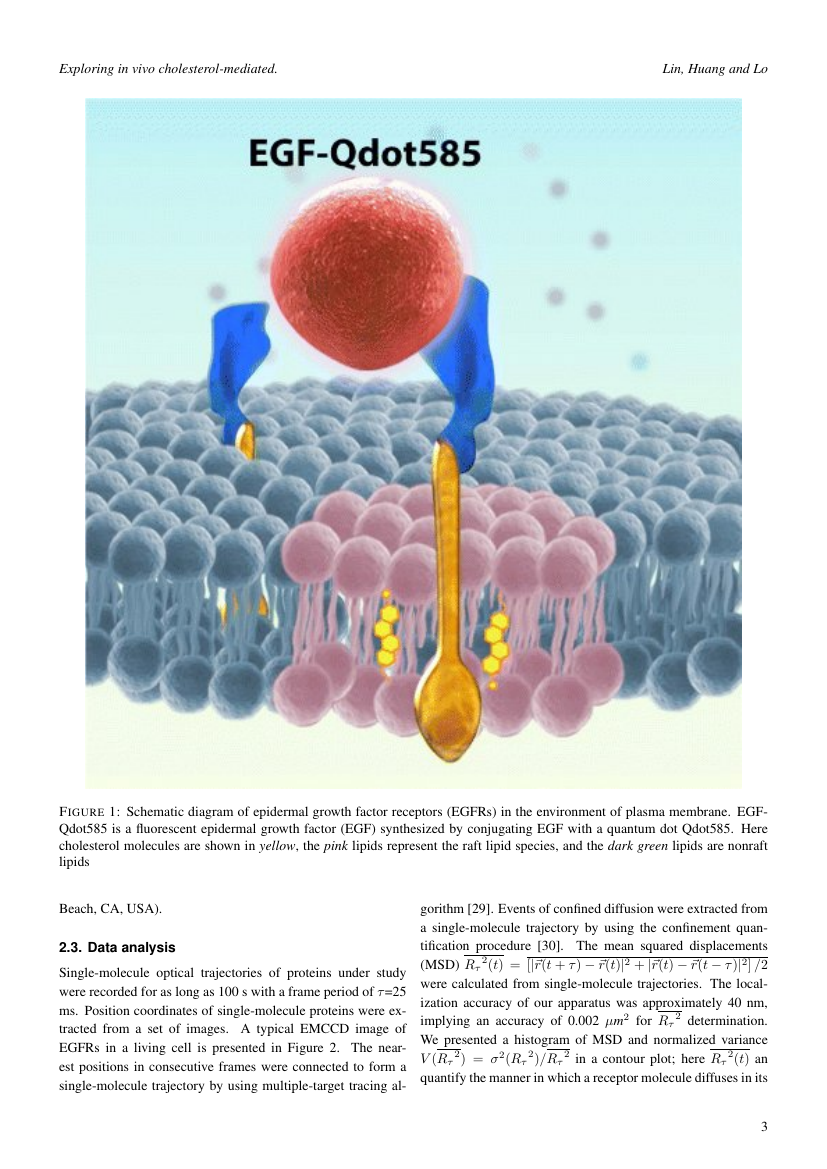Example of Israel Journal of Chemistry format