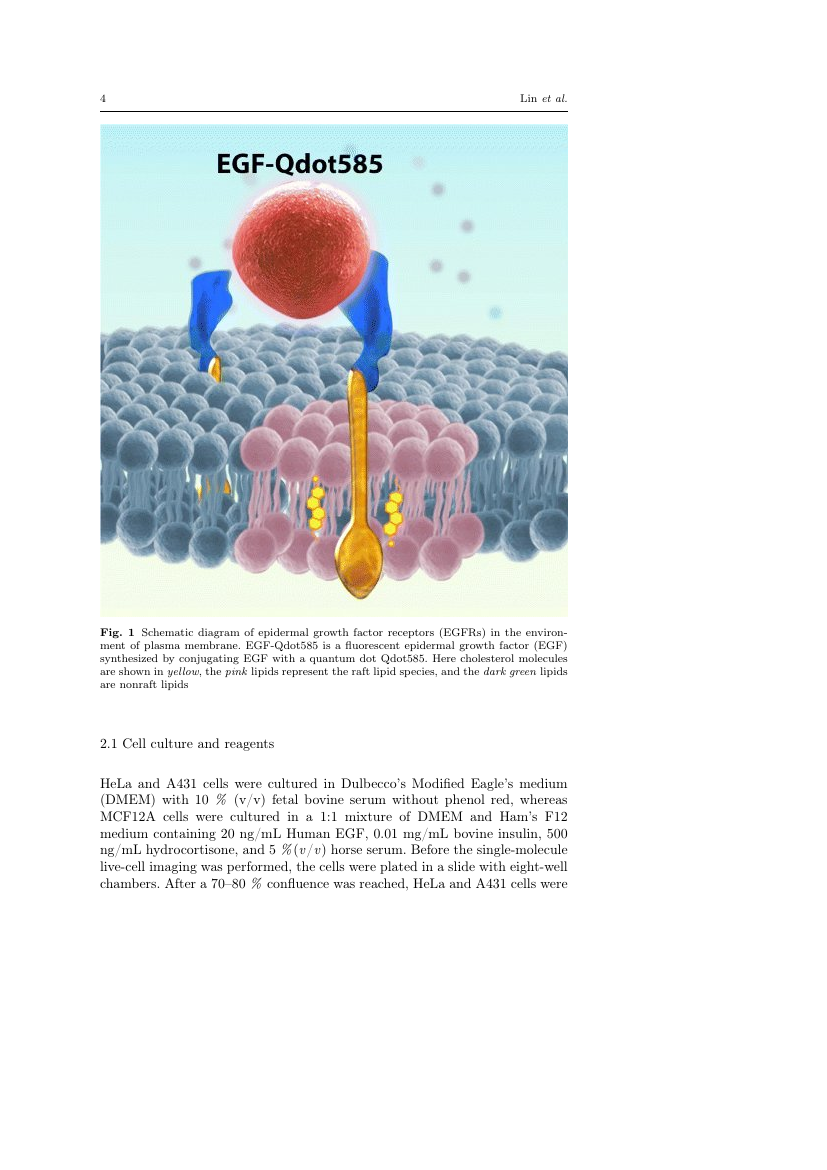 Journal of Cardiovascular Translational Research Template Springer Journal of Cardiovascular Translational Research Template Springer