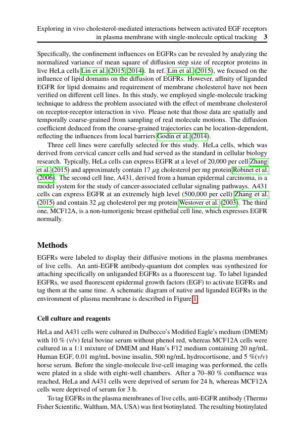 Example of International Organization format