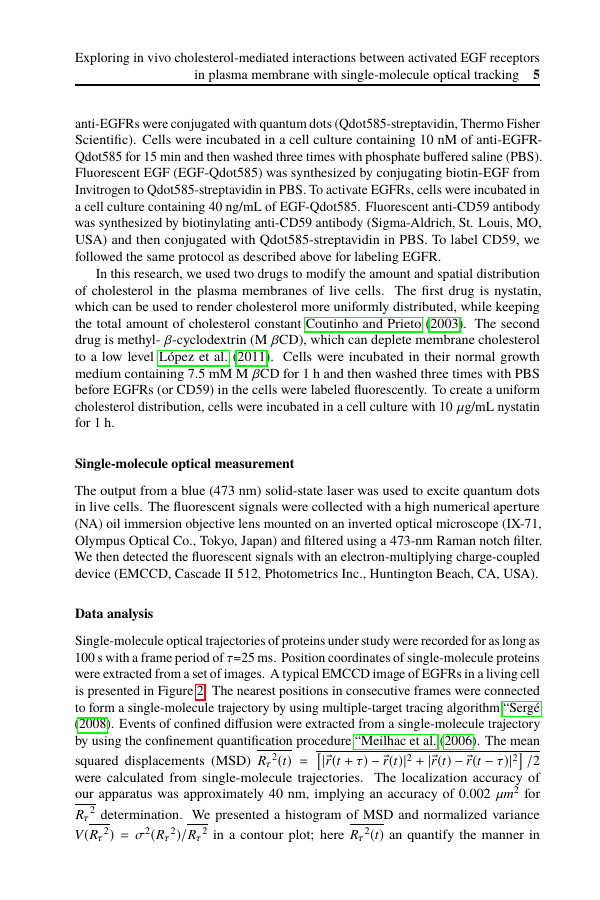 Example of International Organization format
