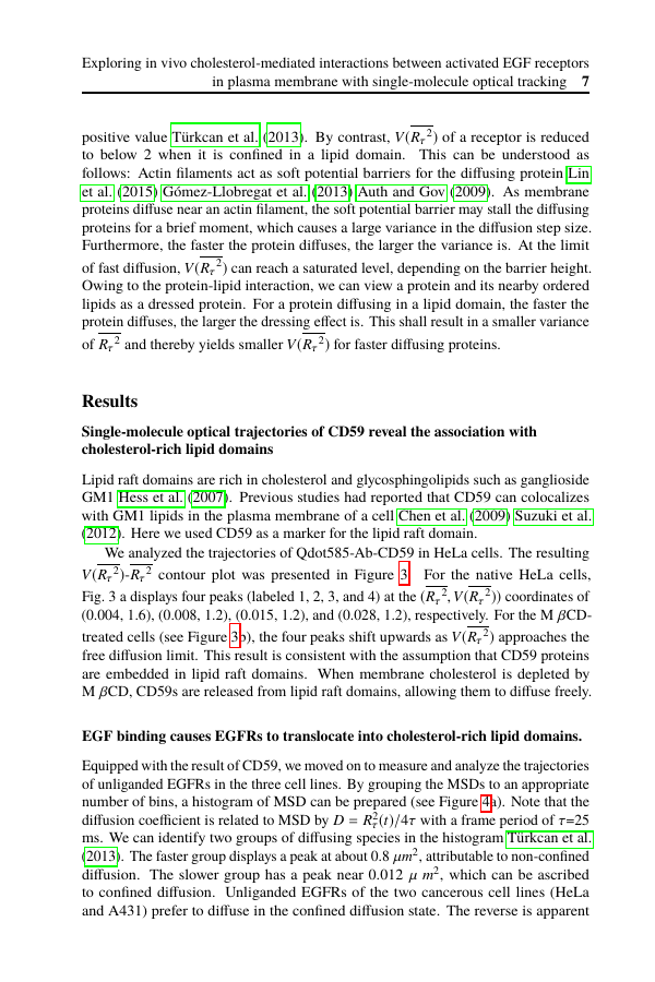 Example of International Organization format