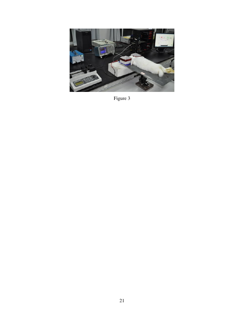 Example of Proceedings of the Royal Society of Victoria format