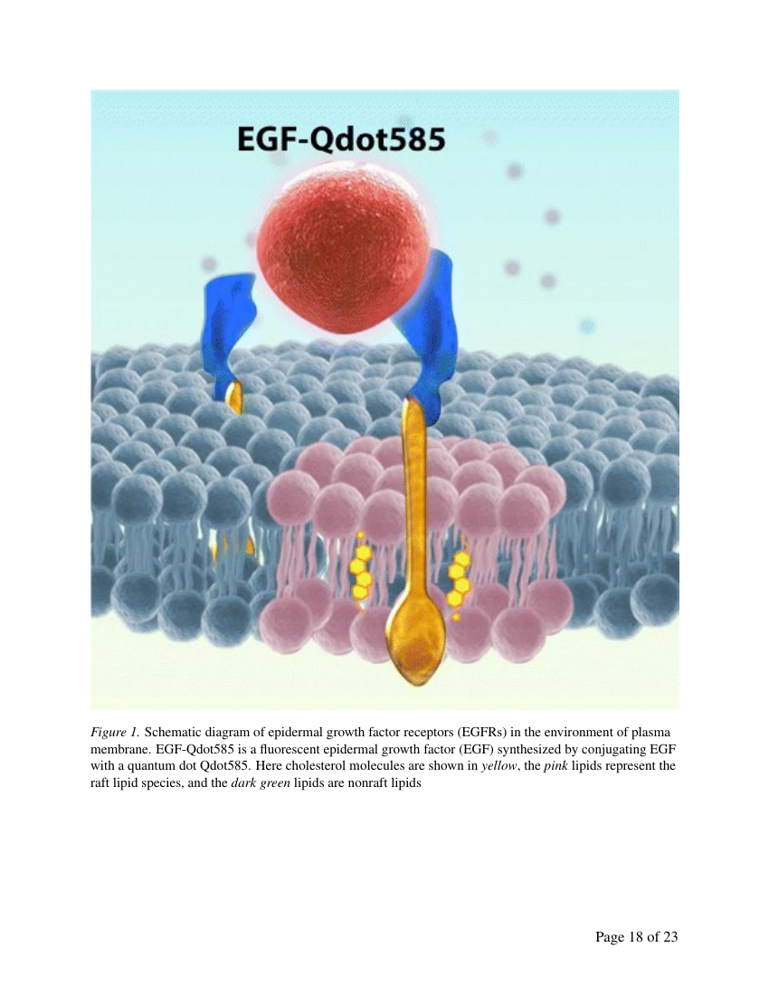 Example of Journal of Radiology and Imaging Techniques format