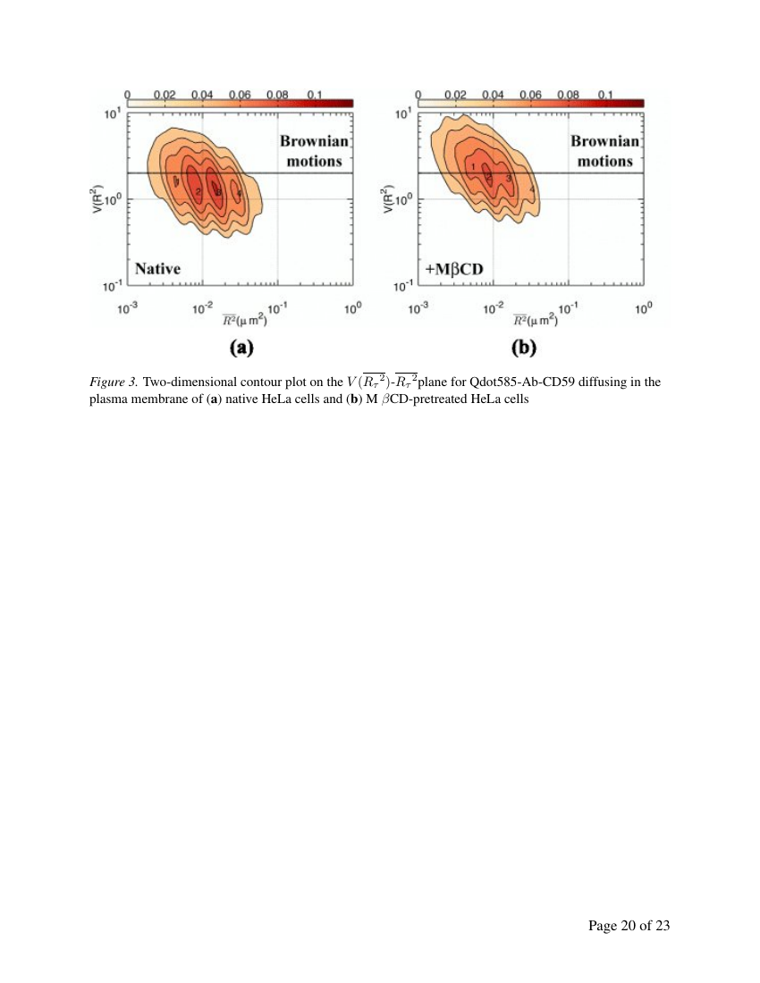 Example of Journal of Radiology and Imaging Techniques format