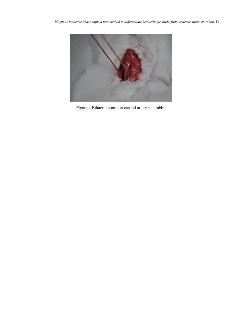 Example of Indian Journal of Traditional Knowledge (IJTK) format