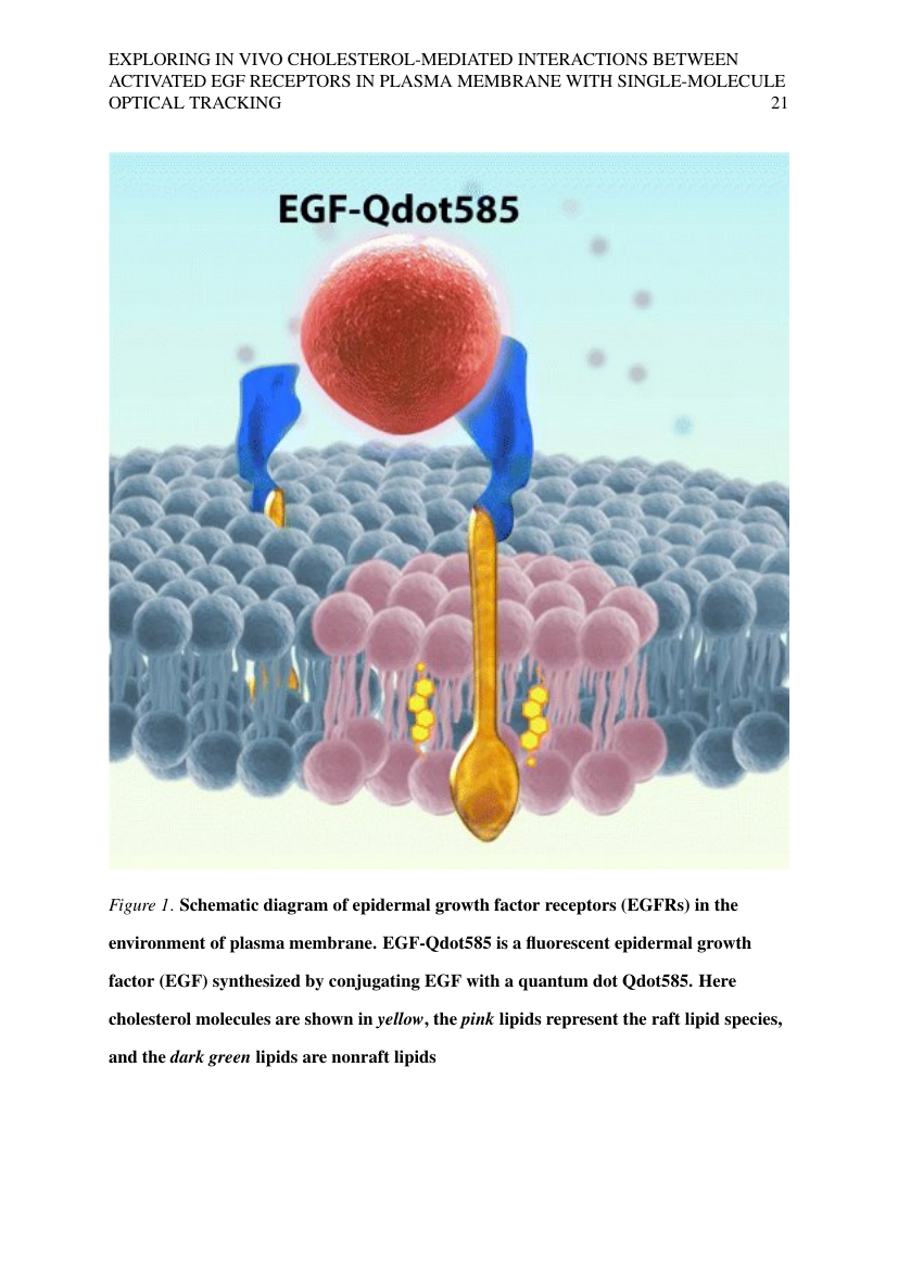 Example of Journal of Occupational Science format