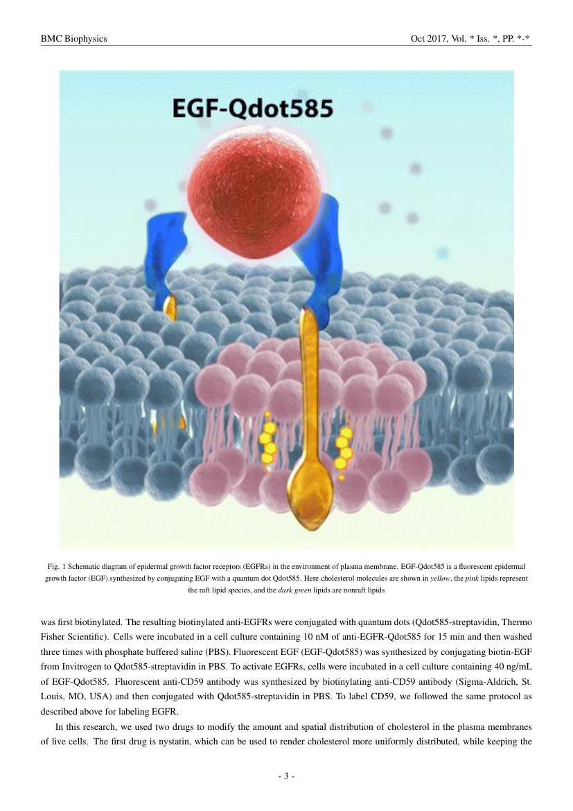 Example of Advances in Materials Science and Applications format