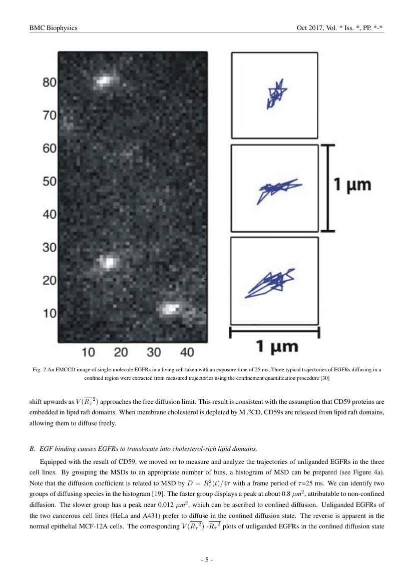 Example of Advances in Materials Science and Applications format