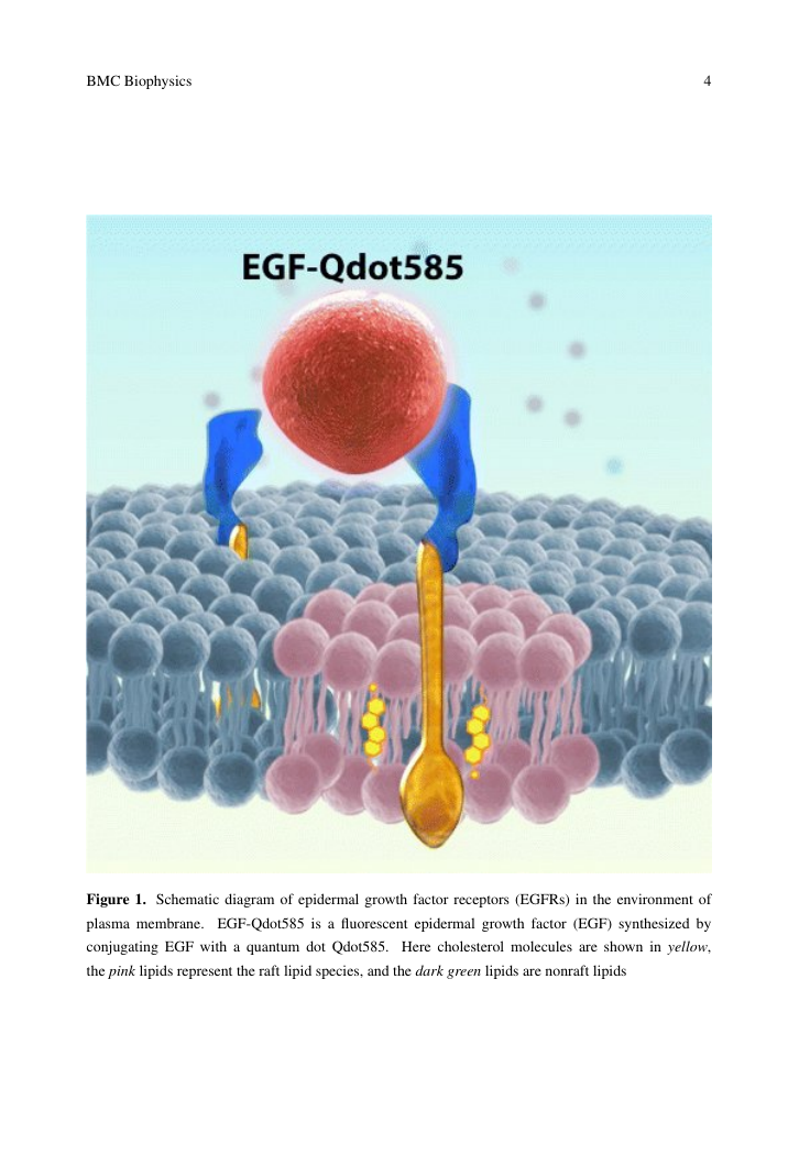 Example of Bioved format