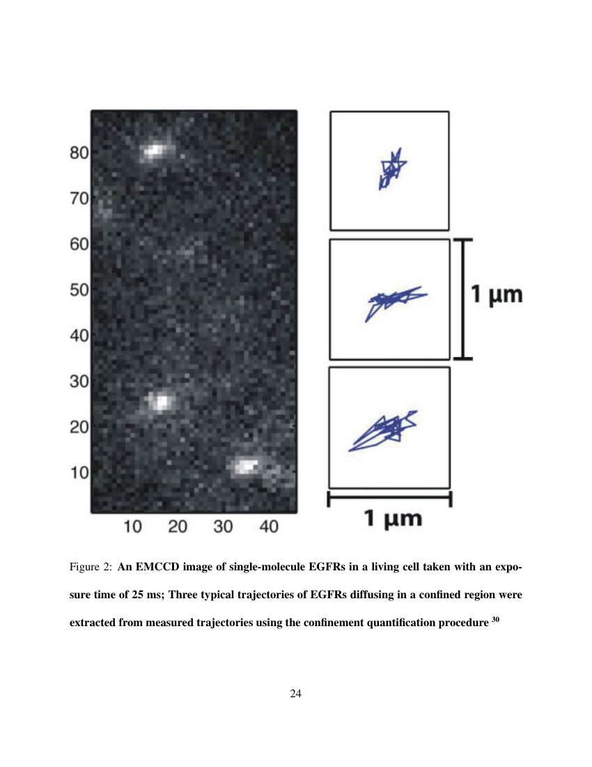 Example of npj Quantum Information format