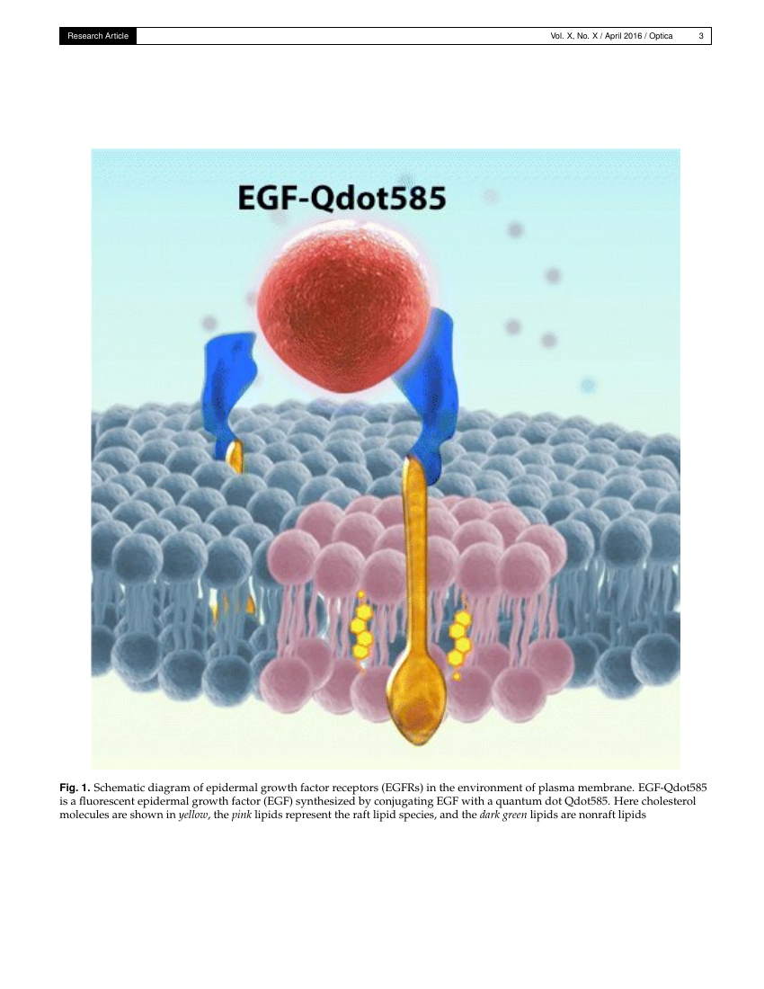 Optica Template The Optical Society