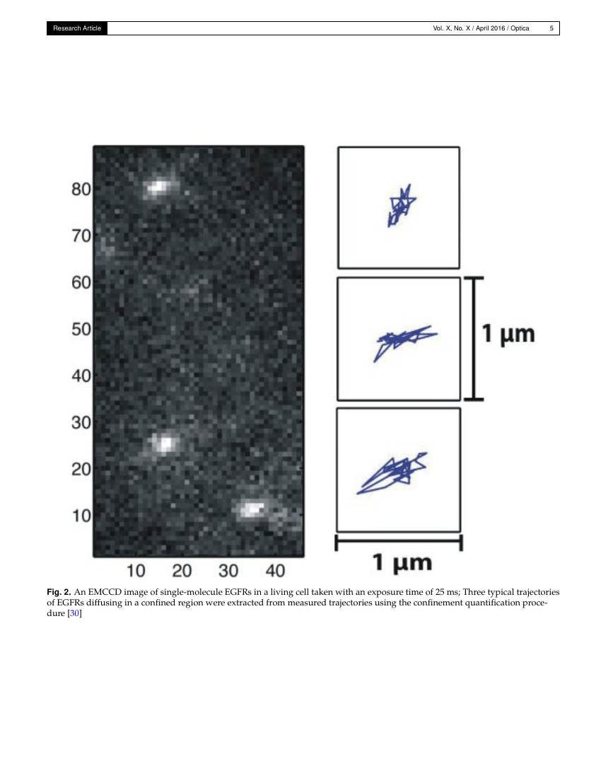 Optica Template The Optical Society
