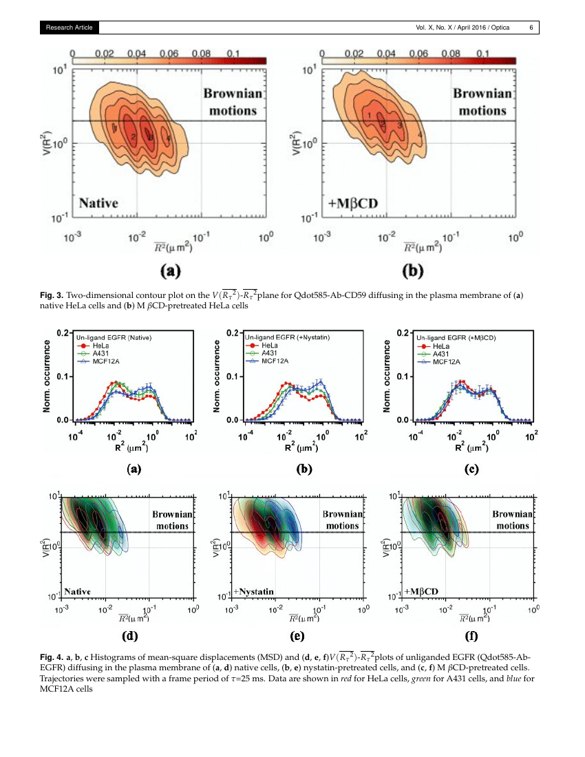 Optica Template The Optical Society