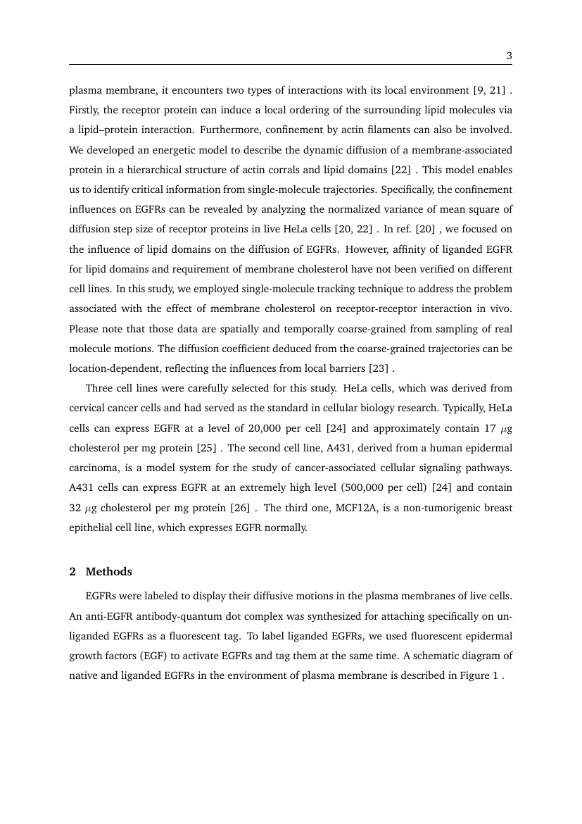 Example of Computational Biology (Assignment/Report) format