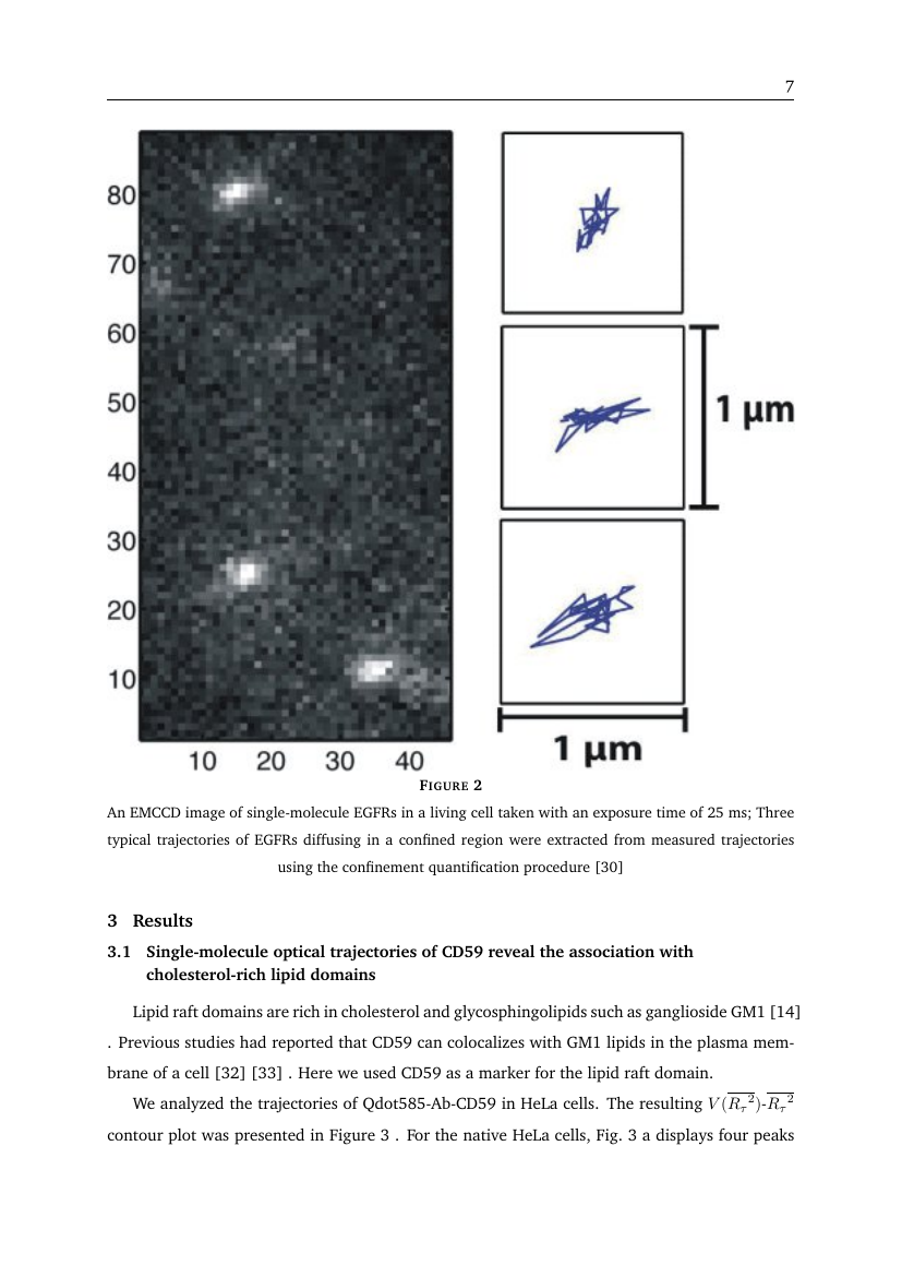 Example of Computational Biology (Assignment/Report) format