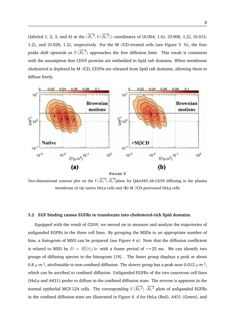 Example of Computational Biology (Assignment/Report) format