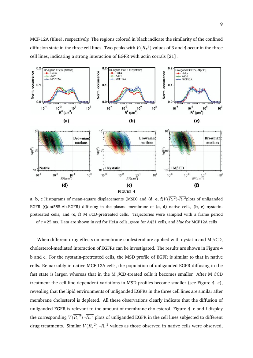 Example of Computational Biology (Assignment/Report) format