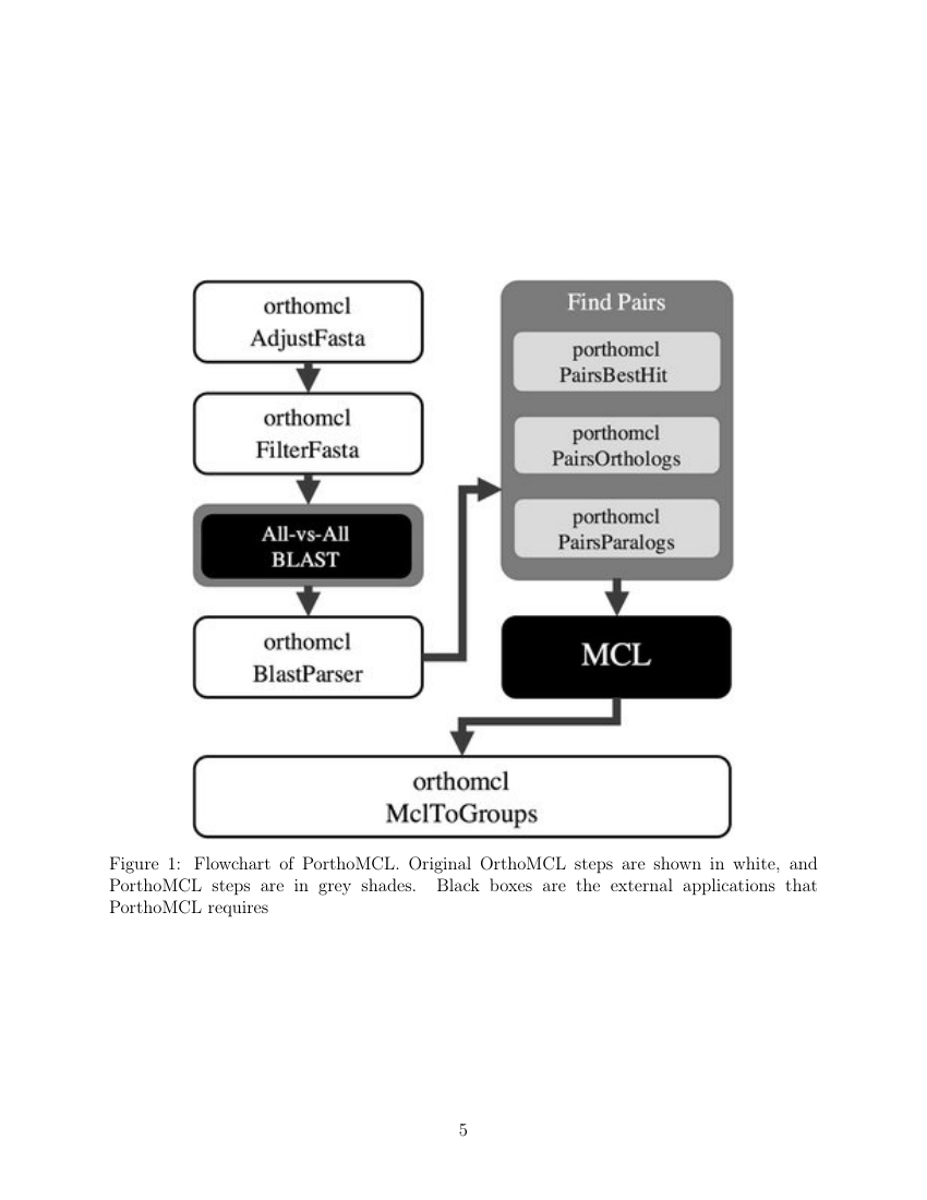 American Chemical Society ACS Nano Template