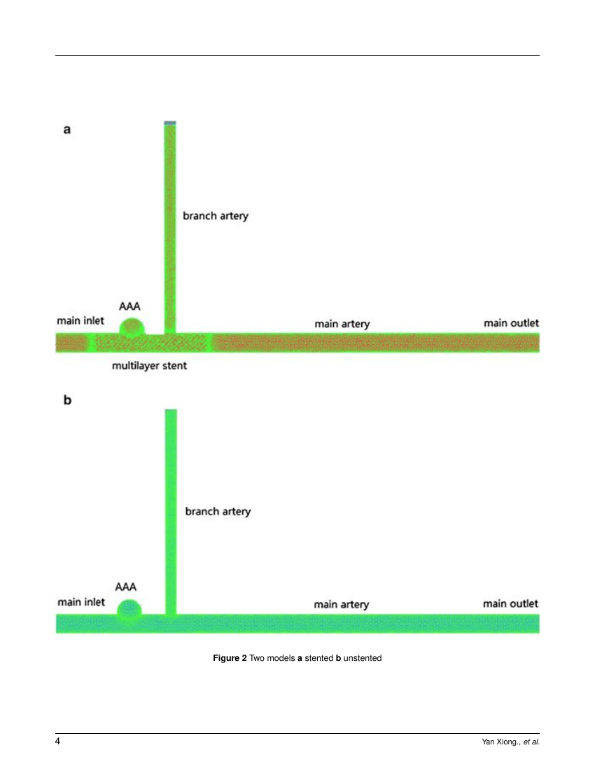 Example of Student BMJ format