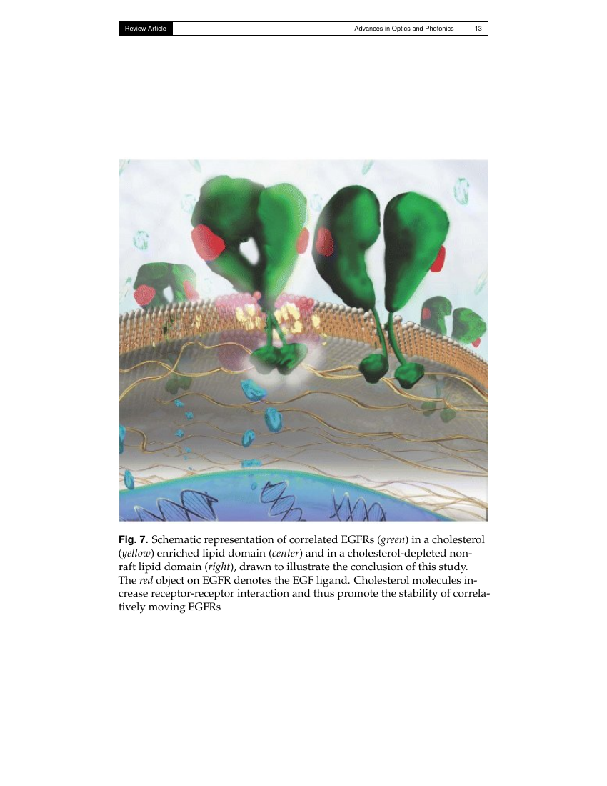 Advances in Optics and Photonics Template The Optical Society