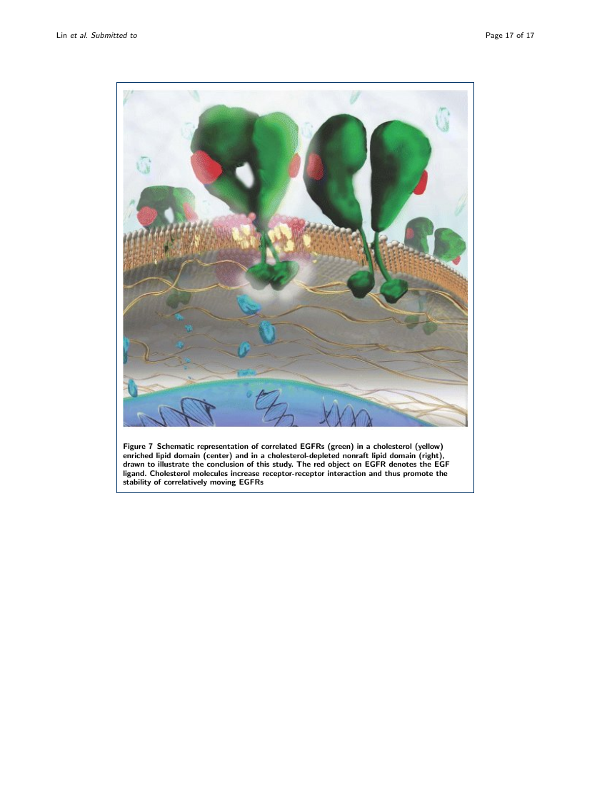 BMC Medical Imaging research article Template BMC