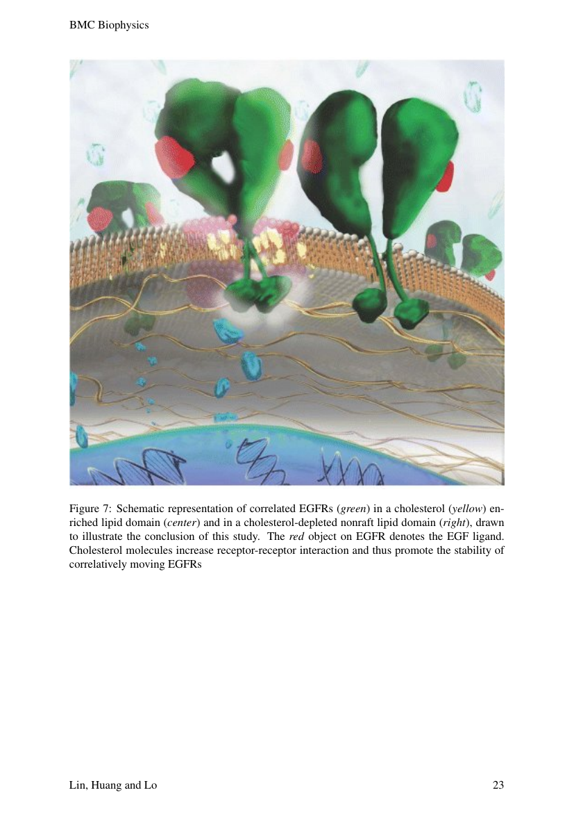 Example of American Journal on Intellectual and Developmental Disabilities format