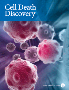 Cell Death Discovery template (Nature)