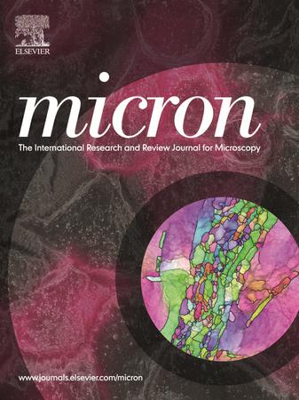 Micron template (Elsevier)