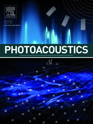 Photoacoustics template (Elsevier)