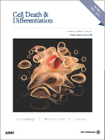 Cell Death & Differentiation template (Nature)