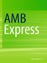 AMB Express template (Springer)