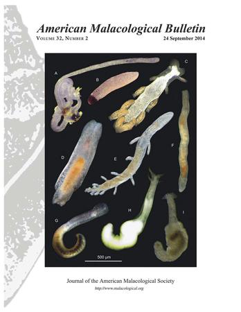 American Malacological Bulletin template (American Malacological Society)