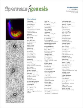 Spermatogenesis template (Taylor and Francis)
