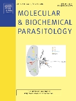 Molecular and Biochemical Parasitology template (Elsevier)