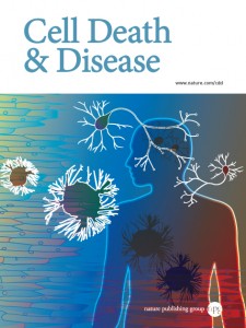 Cell Death & Disease template (Nature)