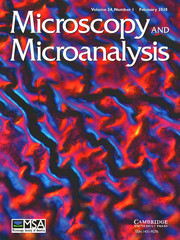 Microscopy and Microanalysis template (Cambridge University Press)