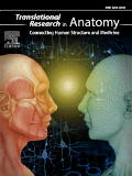 Translational Research in Anatomy template (Elsevier)