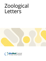 Zoological Letters template (BMC)