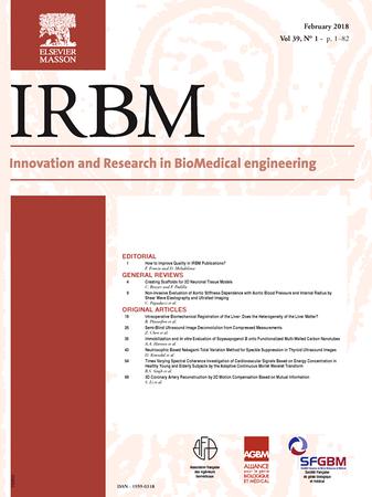 IRBM template (Elsevier)