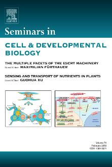 Seminars in Cell & Developmental Biology template (Elsevier)